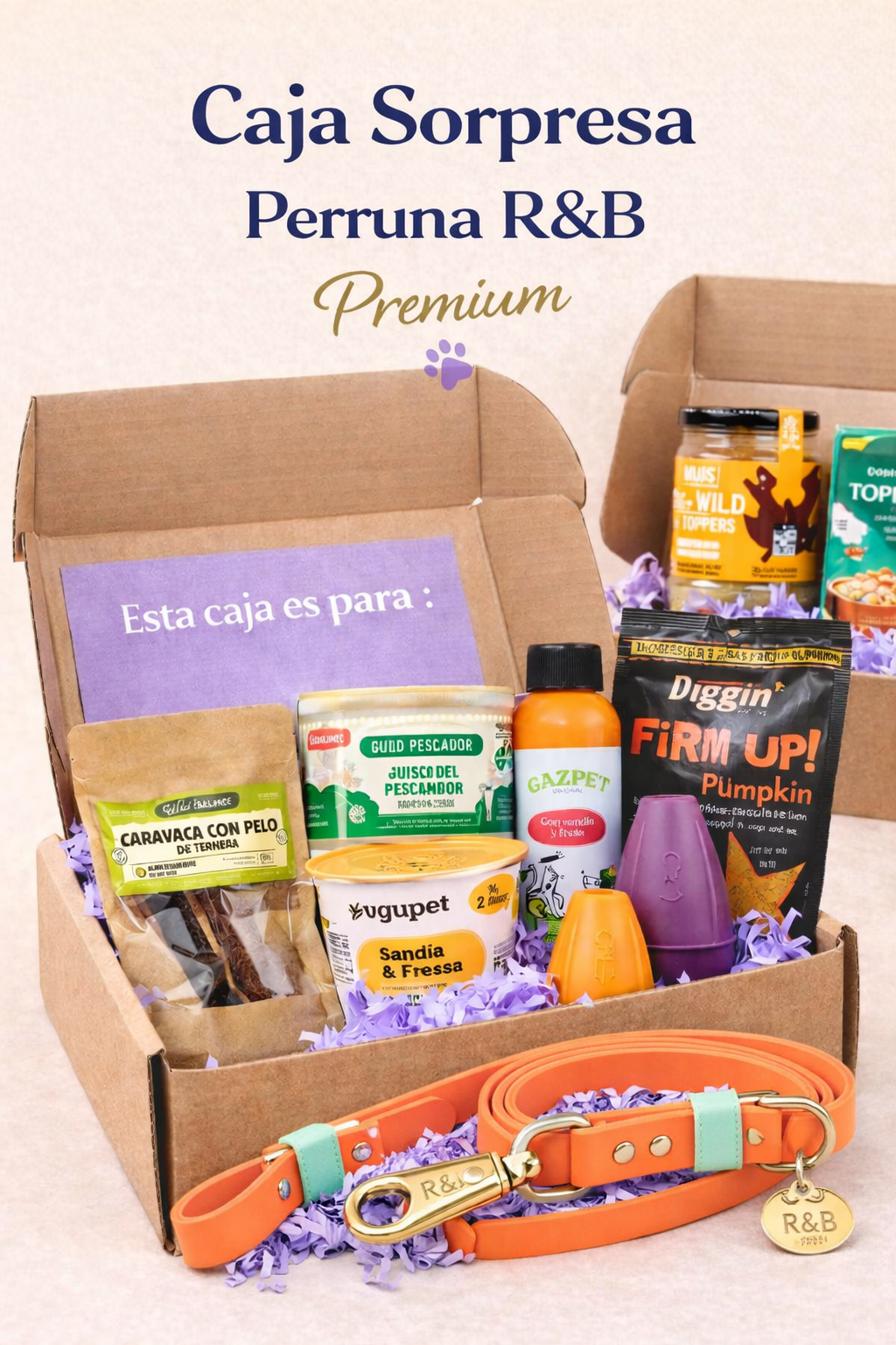 Caja sorpresa para perro R&B