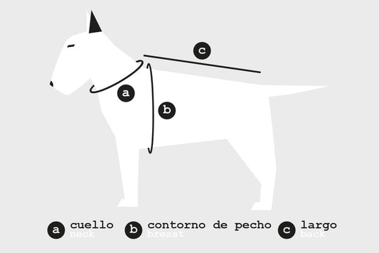 Arnés grande en H doble cierre (4cm grosor)