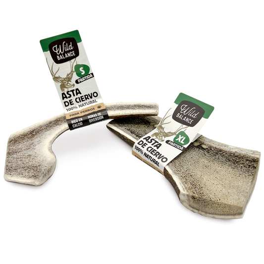 MORDEDORES NATURALES