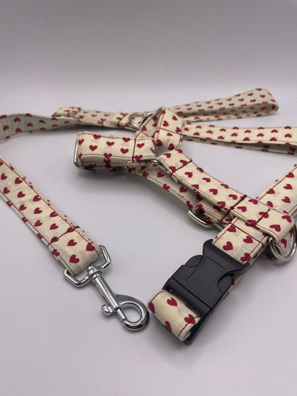 Arnés pequeño en H cierre único  (2,5cm grosor)