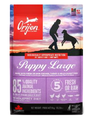 Pienso Orijen Perro Puppy Large