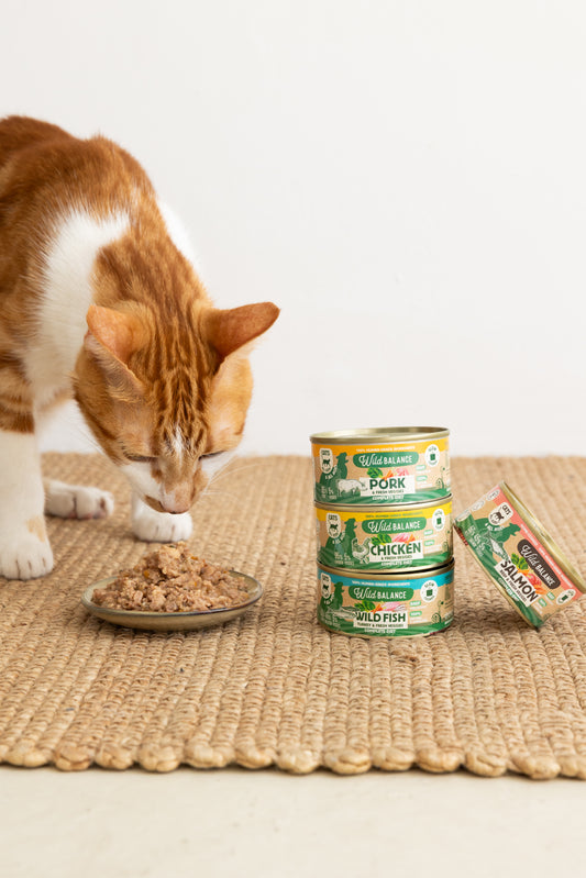 LATAS FILOSOFÍA BARF - GATOS