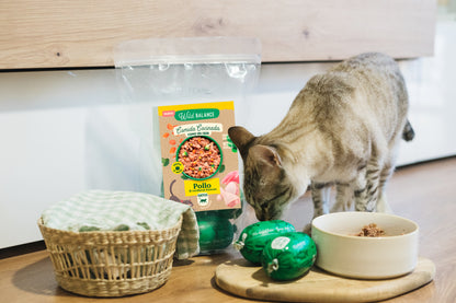 Comida cocinada para gatos - Wild Balance