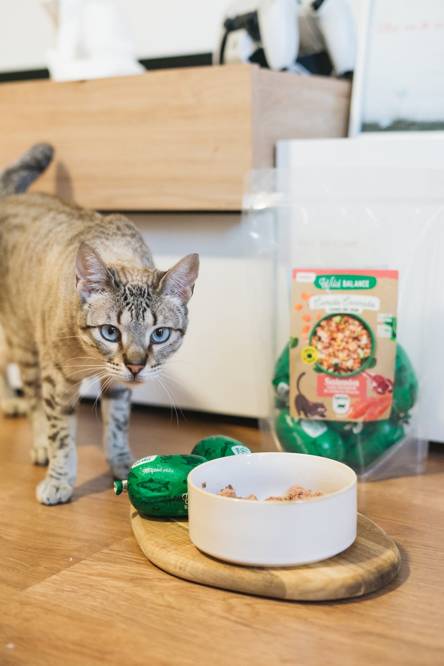 Comida cocinada para gatos - Wild Balance
