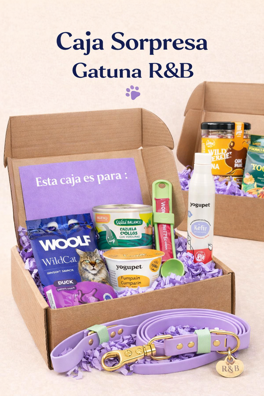 Caja sorpresa para gato R&B