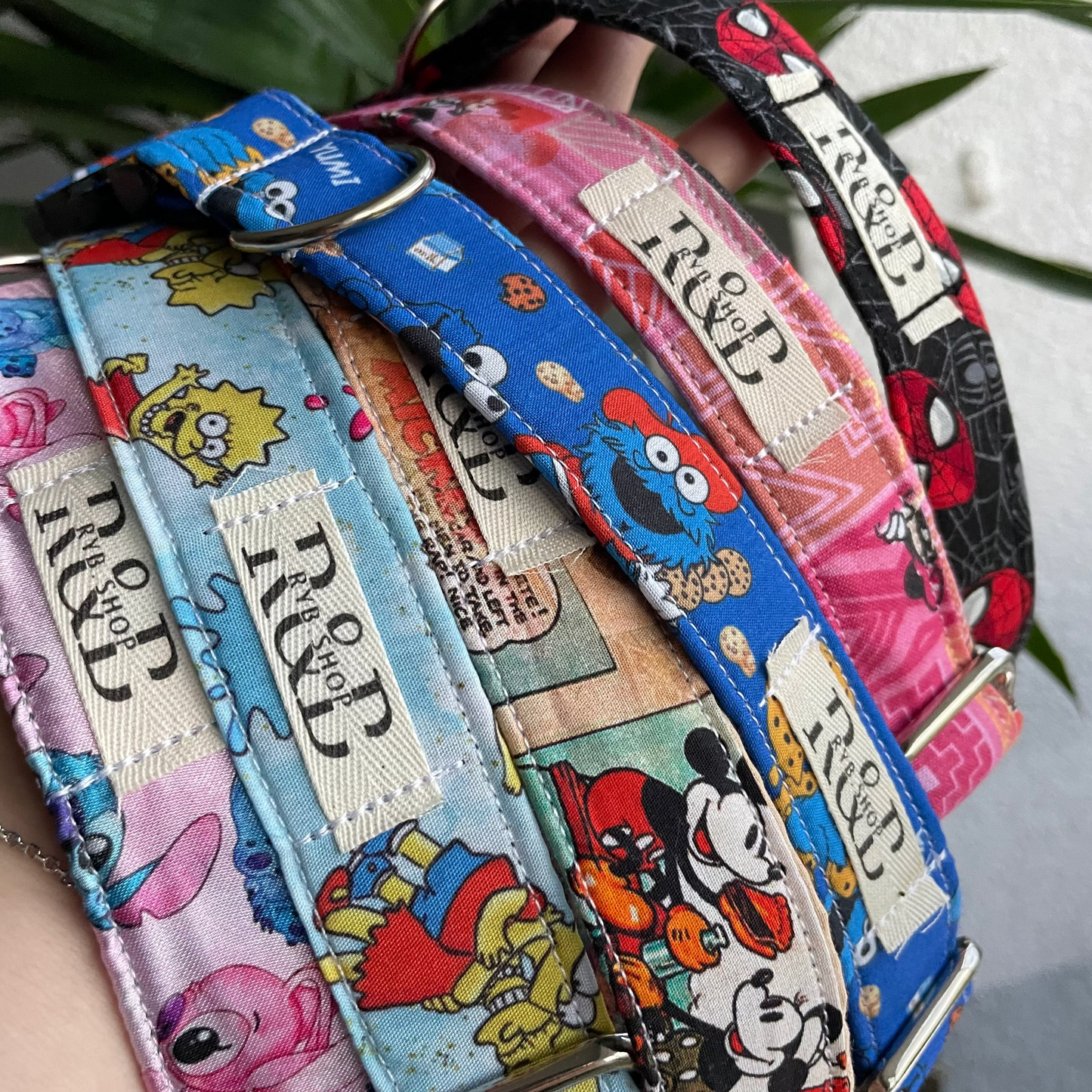 Collar pequeño regulable