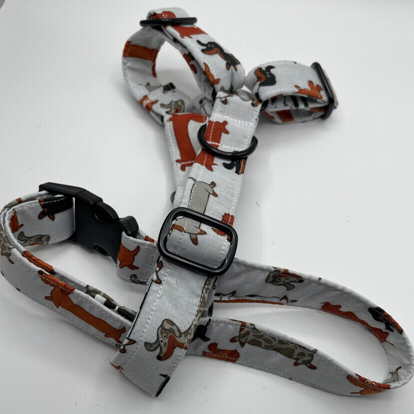 Arnés pequeño en H cierre único  (2,5cm grosor)