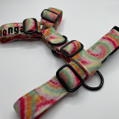 Arnés pequeño en H cierre único  (2,5cm grosor)