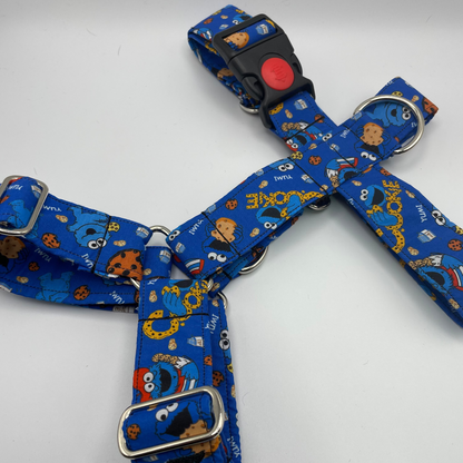 Arnés pequeño en H cierre único  (2,5cm grosor)