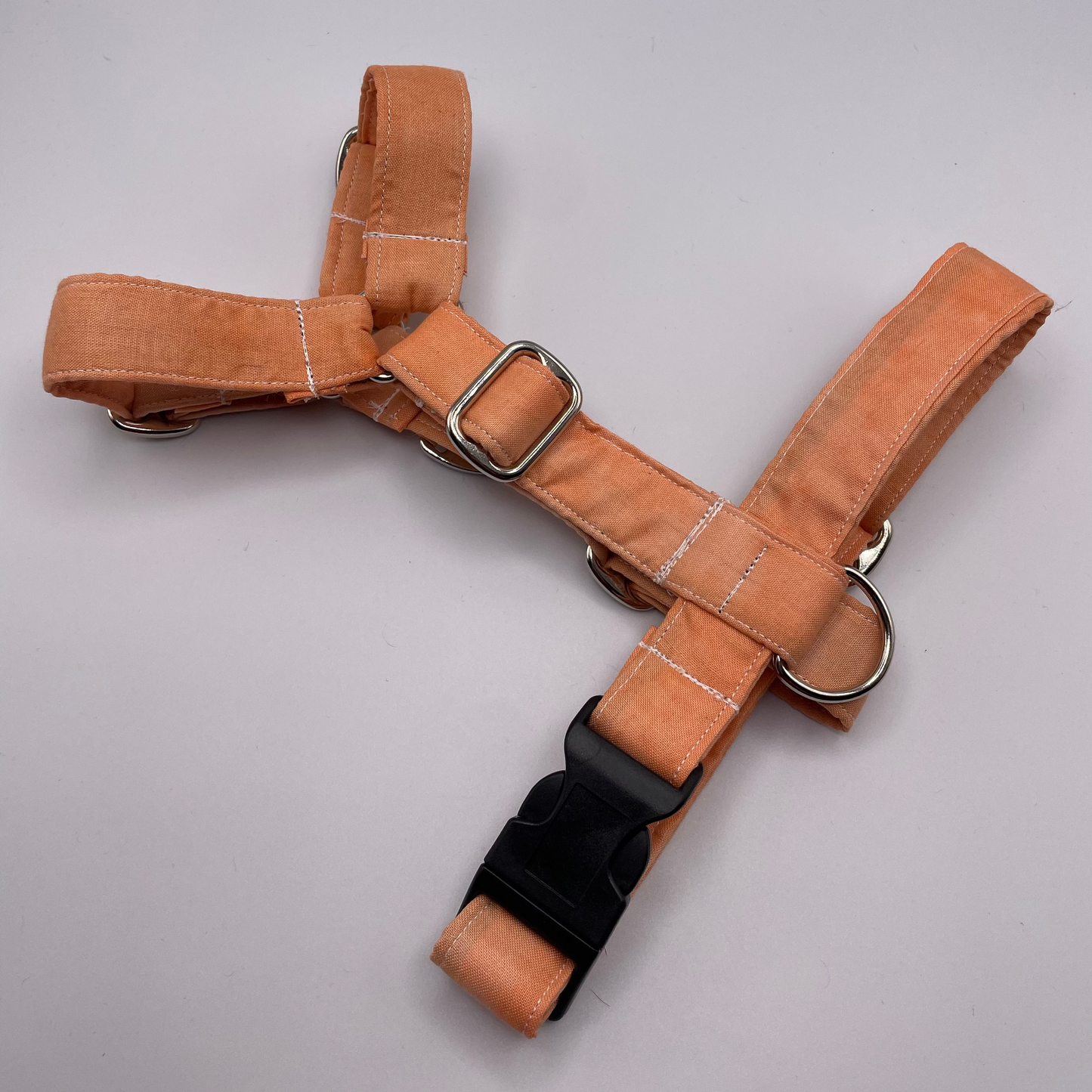 Arnés pequeño en H cierre único  (2,5cm grosor)