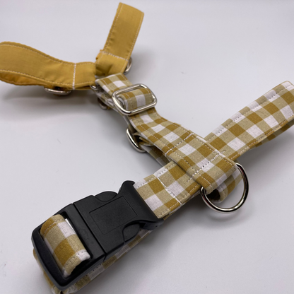 Arnés pequeño en H cierre único  (2,5cm grosor)