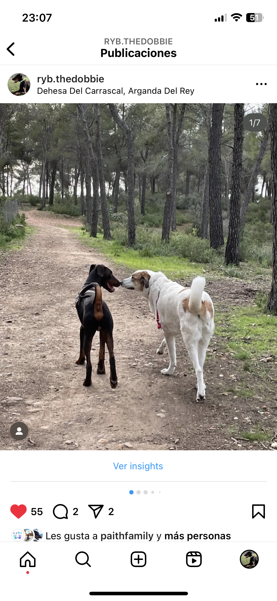 Arnés pequeño en H cierre único  (2,5cm grosor)