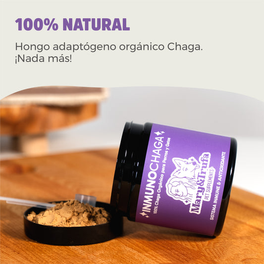 Mary&Trufa. InmunoChaga. INMUNOMODULADOR Y ANTIOXIDANTE. SALUD INTEGRAL: ARTICULACIONES, PIEL Y DIGESTIÓN