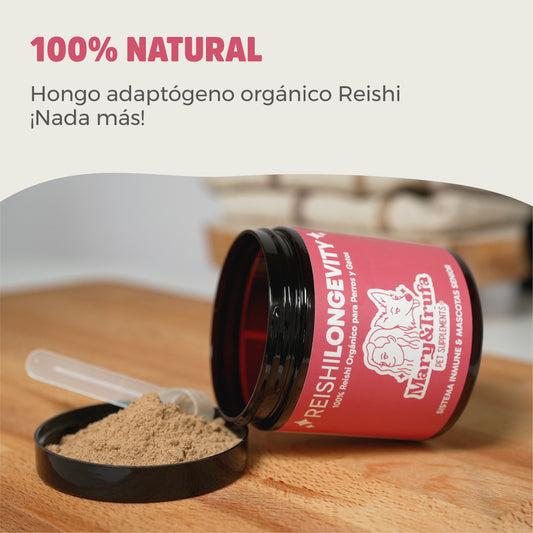 Mary&Trufa Reishi Longevity 75 g. Regula y Refuerza el Sistema Inmune. Apoyo mascotas senior.