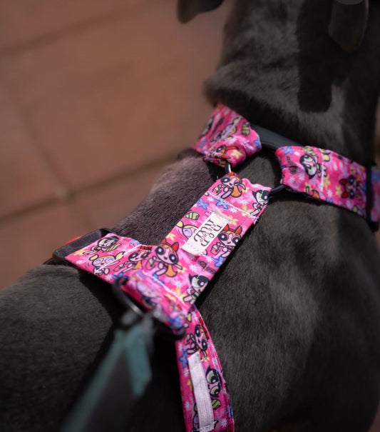 Arnés grande en H cierre único (4cm grosor)