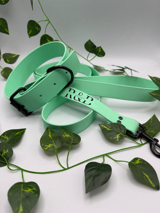 Conjunto collar + correa biothane