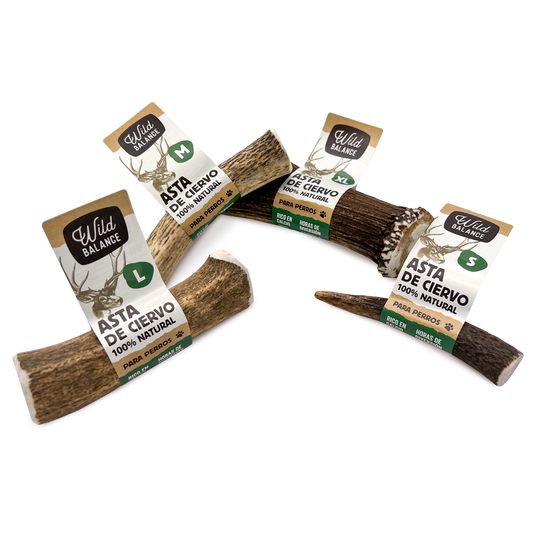 MORDEDORES NATURALES