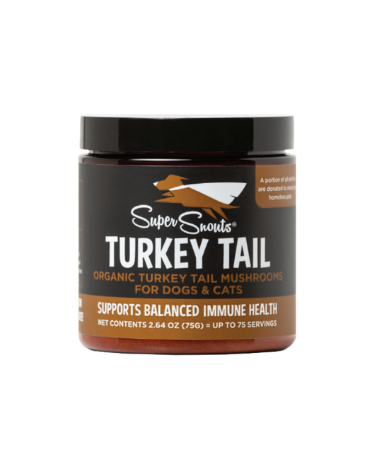 Turkey Tail - Hongo de Cola de Pavo